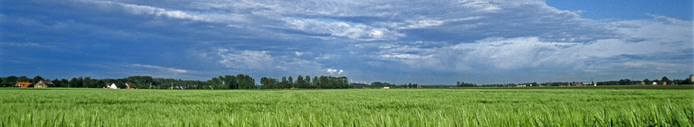 Frühling am Niederrhein