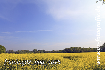 Bild in den Warenkorb legen